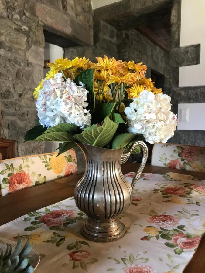 Charming Green Country House Nordestinho Экстерьер фото
